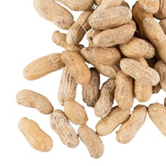 Unsalted In-Shell Peanuts (select size below)