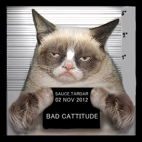 Bad Attitude Grumpy Cat Refrigerator Fridge MAGNET gallery