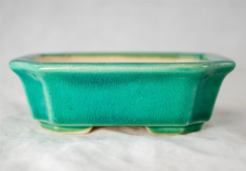 Fine Rectangular Cactus & Succulent, Mame Bonsai Pot + Mesh 4.25"x 3.5"x 1.25" gallery