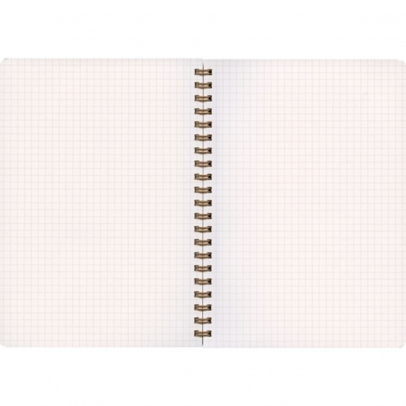 Life Pocket Notes Spiral Bound Notebook: 4 in. x 6 in. (Red) *A6 notebook gallery