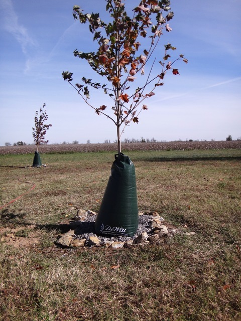 DeWitt Tree Watering Bag - Slow Release Irrigation 8-PACK gallery
