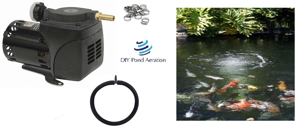 GAST Small Lake Fish Pond Aeration Kit w/ New PUMP 1 Diffuser 1/4 acre 2yr WTY gallery