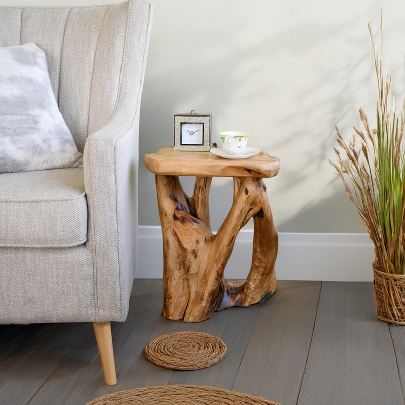 Rustic Natural Tree Stump Stool - 19'' Accent Table & Plant Stand gallery