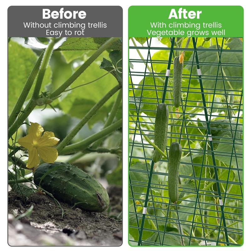Toriexon Foldable Cucumber Trellis - 3 Pack 48 L X 34 W A-Frame Trellis gallery