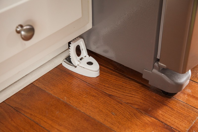Tomcat Press 'N Set Mouse Trap, 4-Pack (8 Traps) gallery