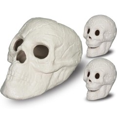 Fire Pit Skulls,Reusable Ceramic Skull, 1 Large 2 Small Skulls