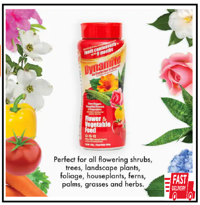 Dynamite 1 lb. All-Purpose Flower and Vegetables Plant Food gallery