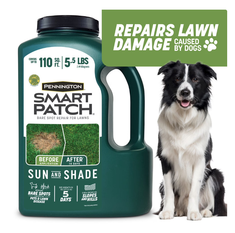 Pennington Smart Patch Sun and Shade Grass Seed Mix, 5.5 lb. gallery