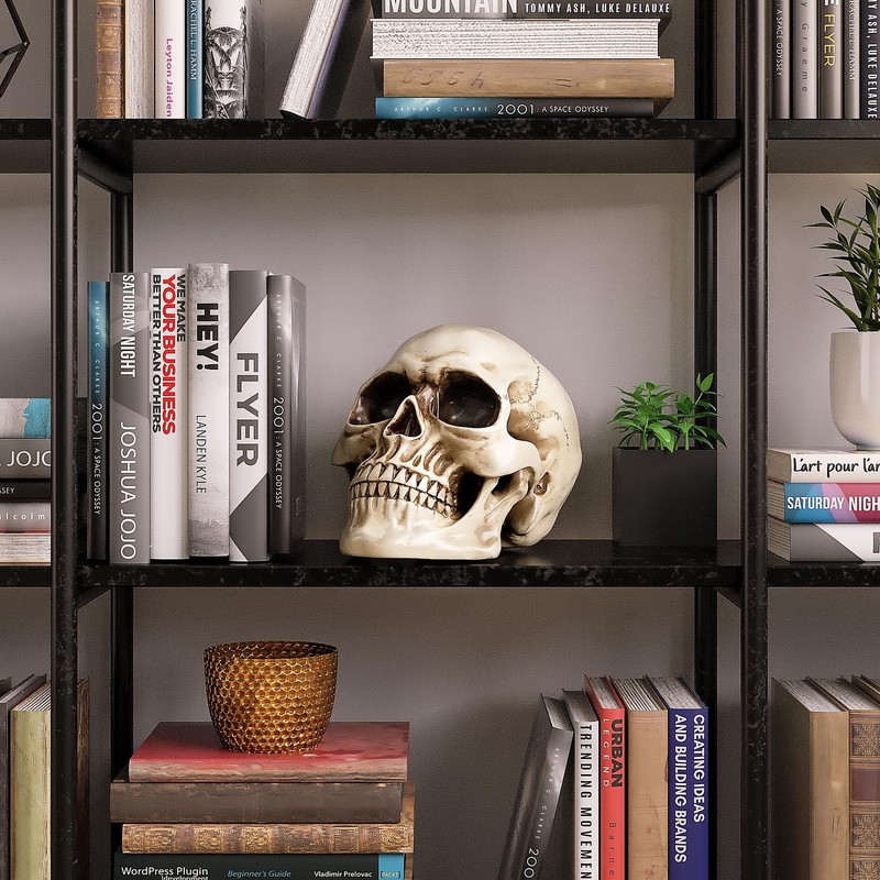 READAEER Life Size Resin Skull, Large Size Adult Skull Head Model for Home Decor gallery