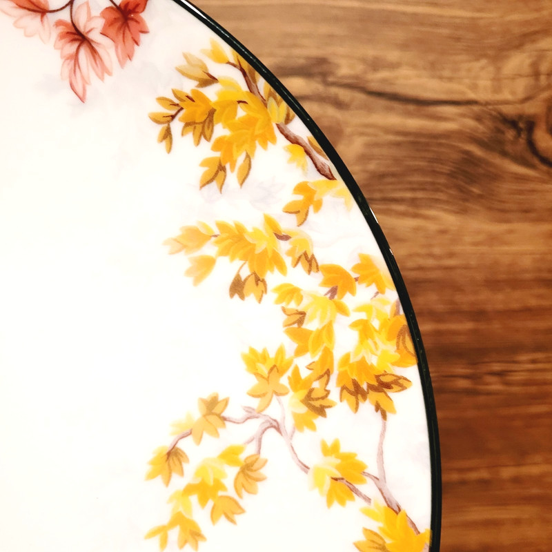 4 Pottery Barn Fantastical Forest Stoneware Dinner Plates 10.75" NEW gallery