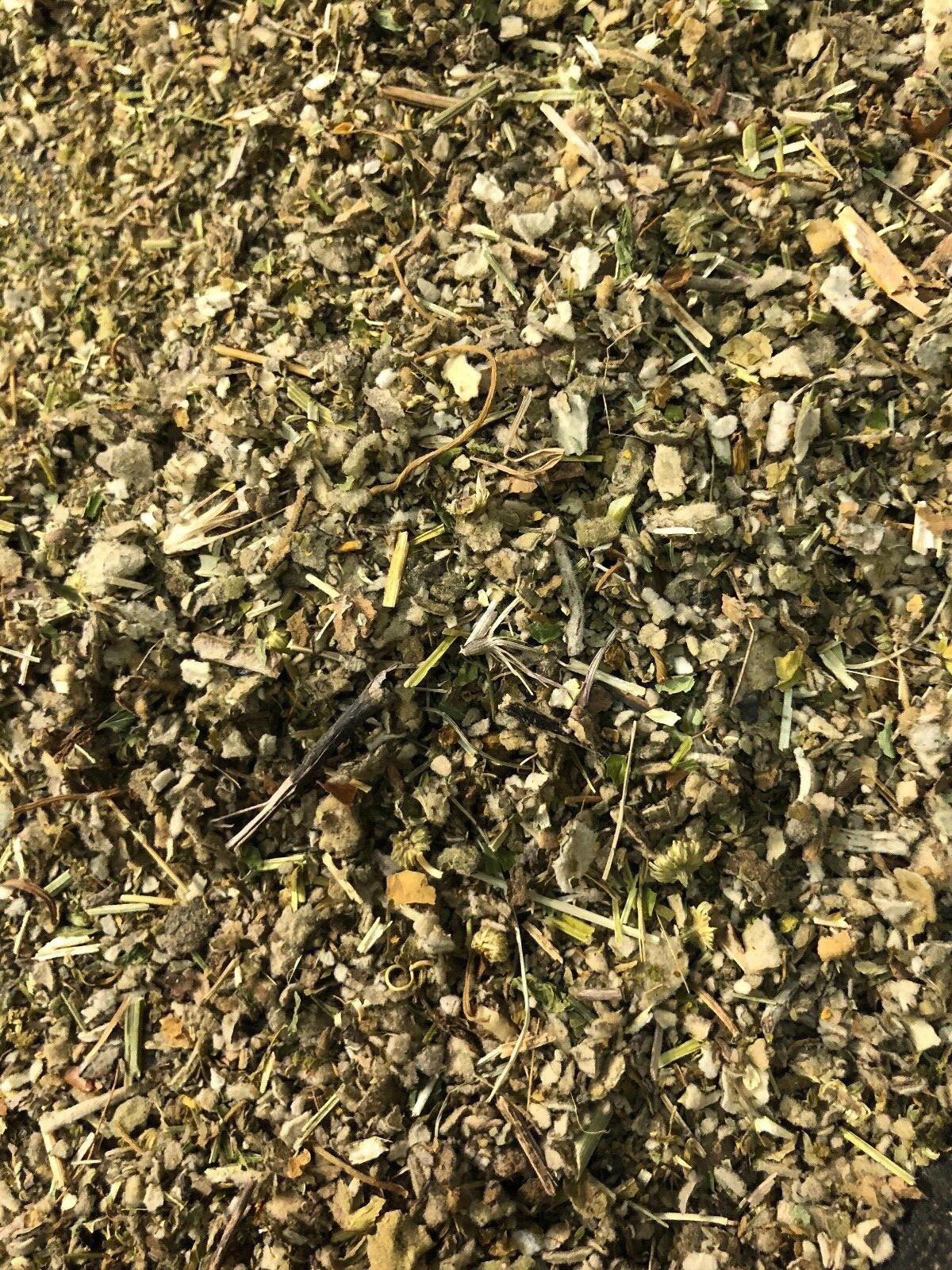 Herb Tea Brew Blend Botanical Mix - Mullein Feverfew Skullcap Passionflower gallery