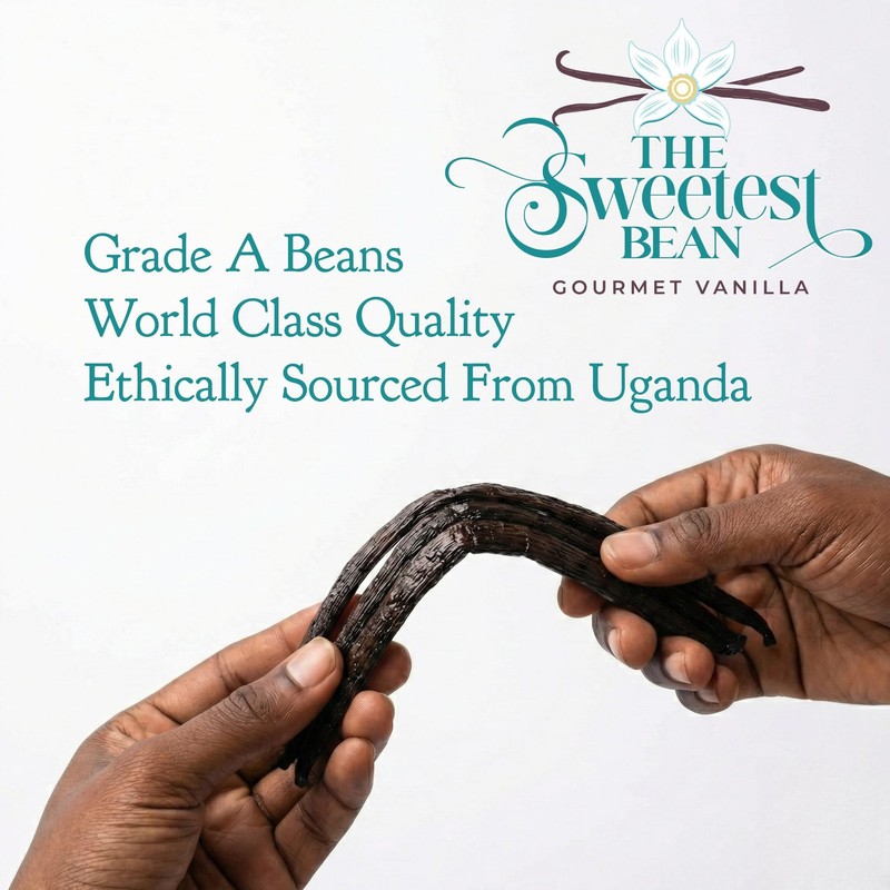 Grade A Ugandan Vanilla Beans – Plump, Moist, Oily & Fresh – Perfect for Baki... gallery