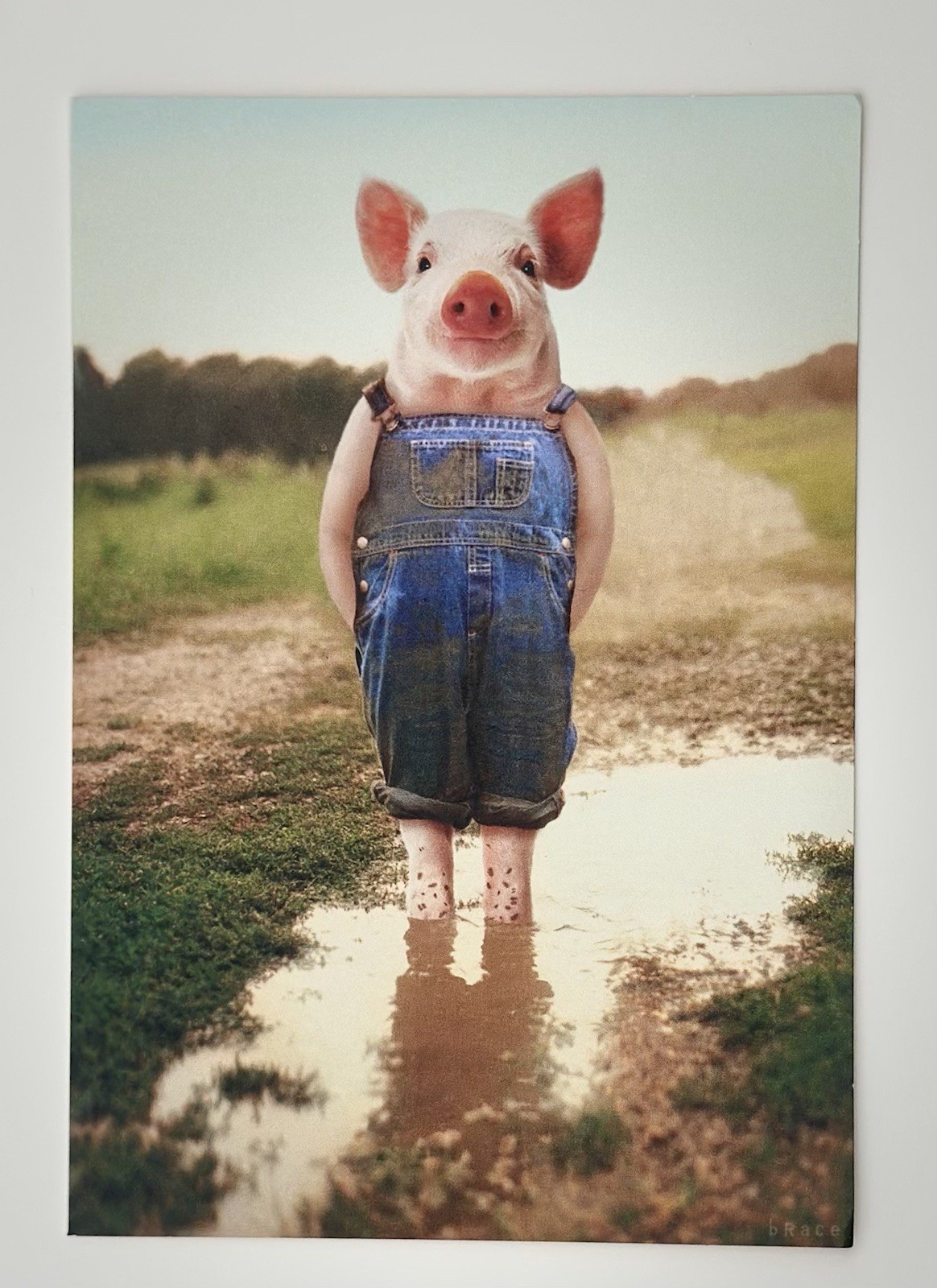 ** OVERALL YOU’RE AWESOME ** CUTE LITTLE GUY / PIG / ALL OCCASION GREETING CARD gallery