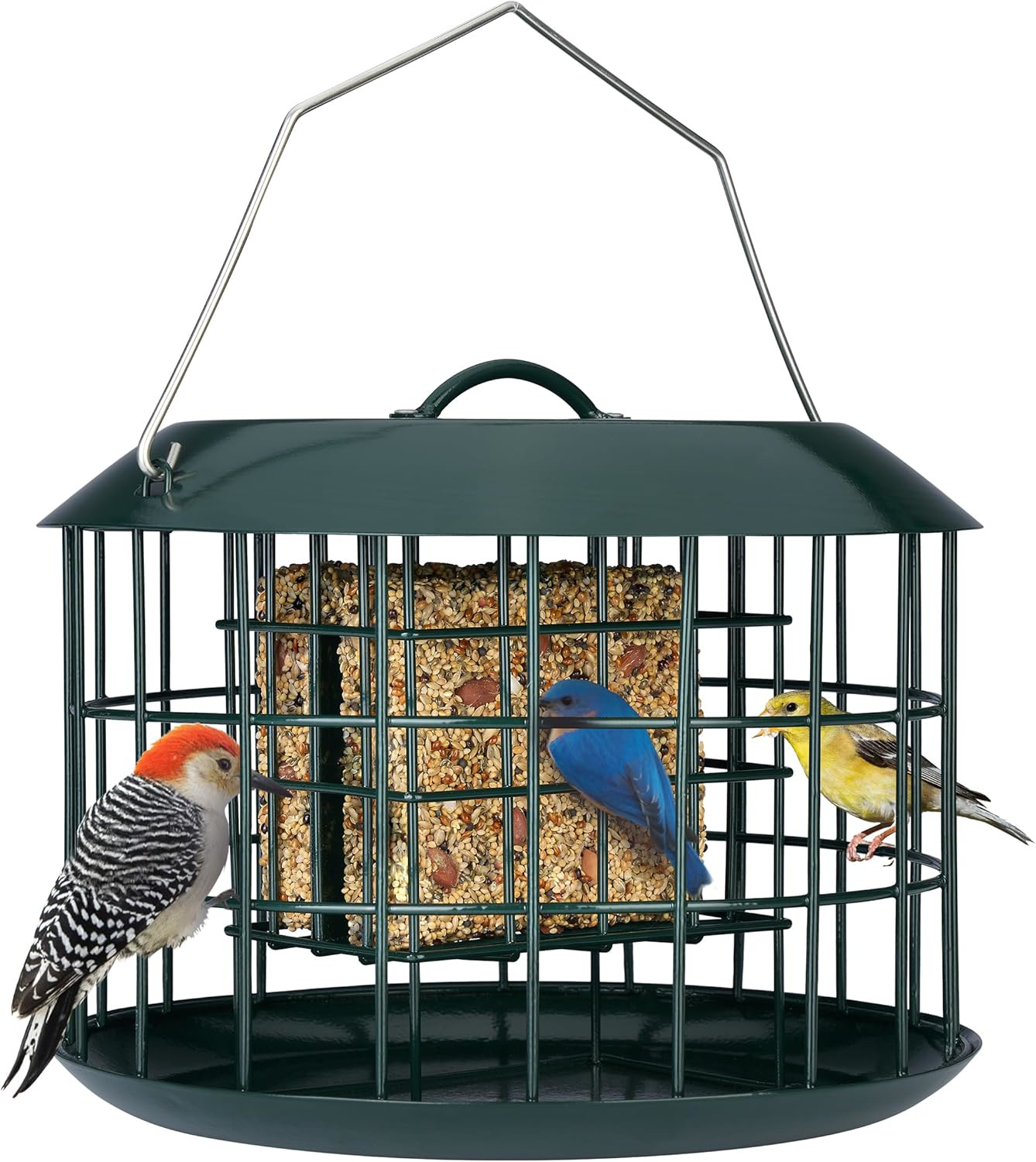 Squirrel Proof Metal Suet Feeder for Birds, Dual Cake Capacity, Green gallery