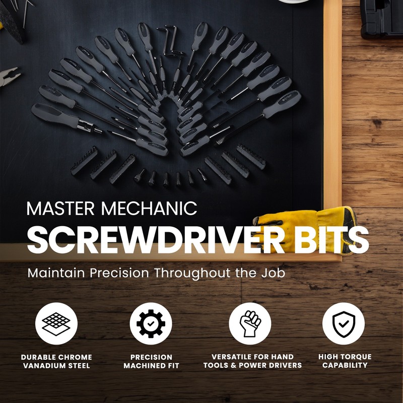 Master Mechanic Screwdriver & Bits Made of Chrome Vanadium Steel, 100 Piece Set gallery