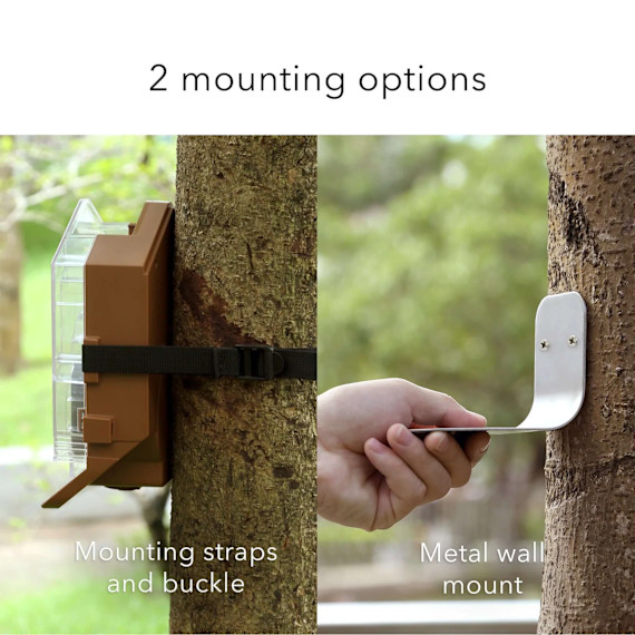 Wasserstein Bird Feeder Smart Camera Case Compatible with Ring, Blink & Wyze ... gallery