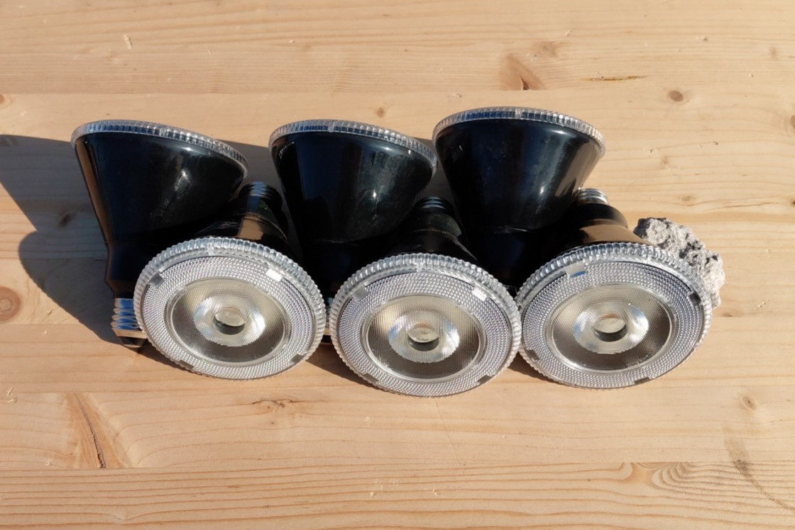 48 Volt Bulb - LED12P30DB48V - 6 Pack gallery