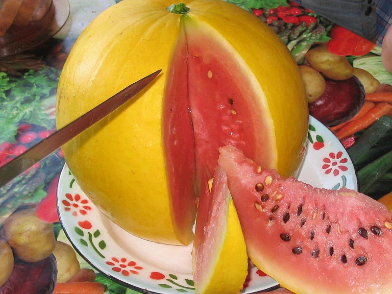 24 Golden Midget Watermelon Seeds - Mini ---- Heirloom -- Non GMO -- Organic gallery