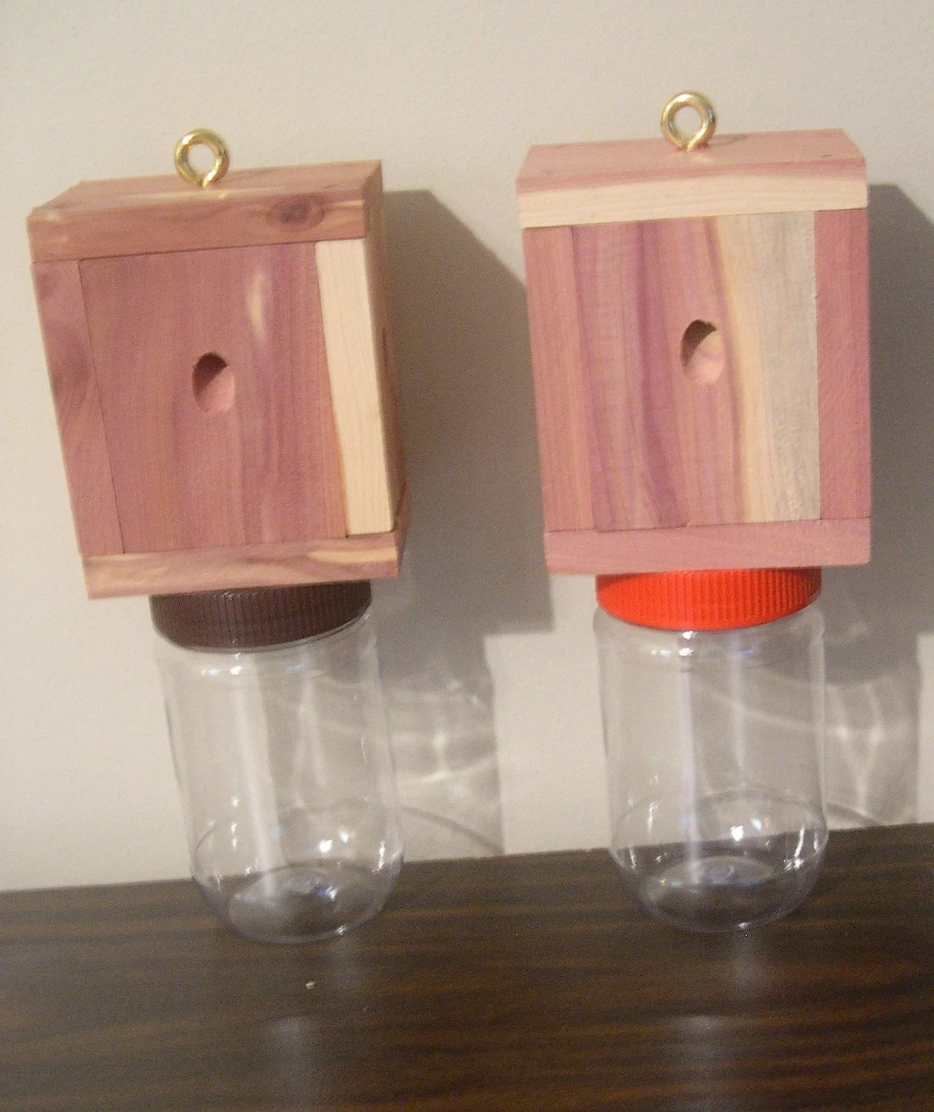 2 Carpenter Bee Trap- Easy Catch- Easy Disposal-NO CHEMICALS - ECO SAFE gallery
