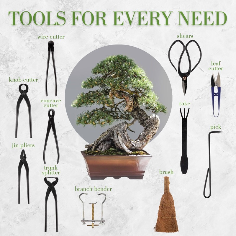 Bonsai Kit 15pc Master Tool Set gallery