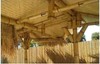 Bamboo Poles Choose From 7 Diameters & 2 Lengths (5' & 7'5")- XL- 6" Diameter gallery
