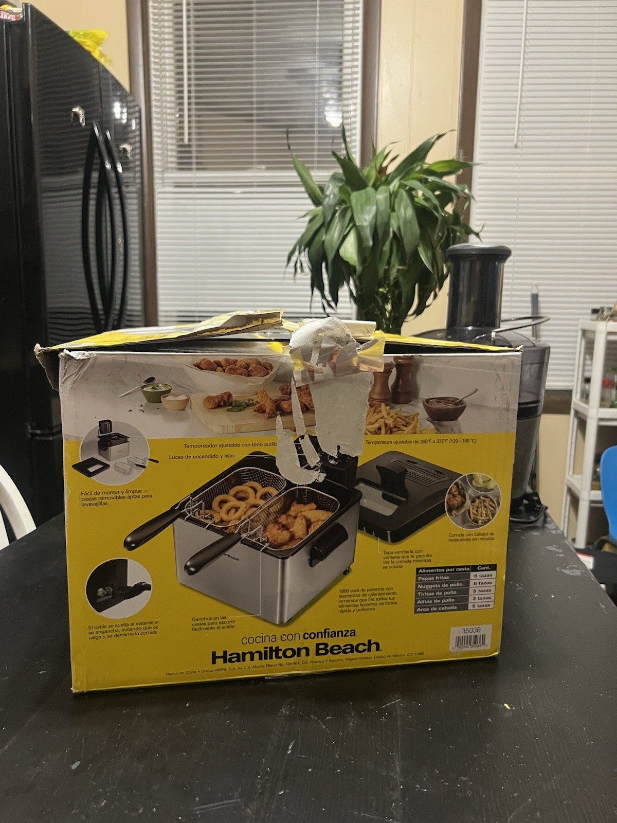 Hamilton Beach Electric Deep Fryer 2 Baskets Lid 4 5 Liters 19 Cups Oil ✅ gallery