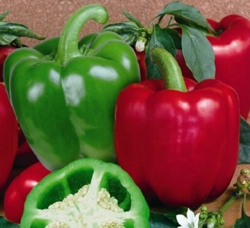HEIRLOOM Survival Kit Perfect Vegetable Garden Save Seeds 5 Varieties PLANT NOW! gallery