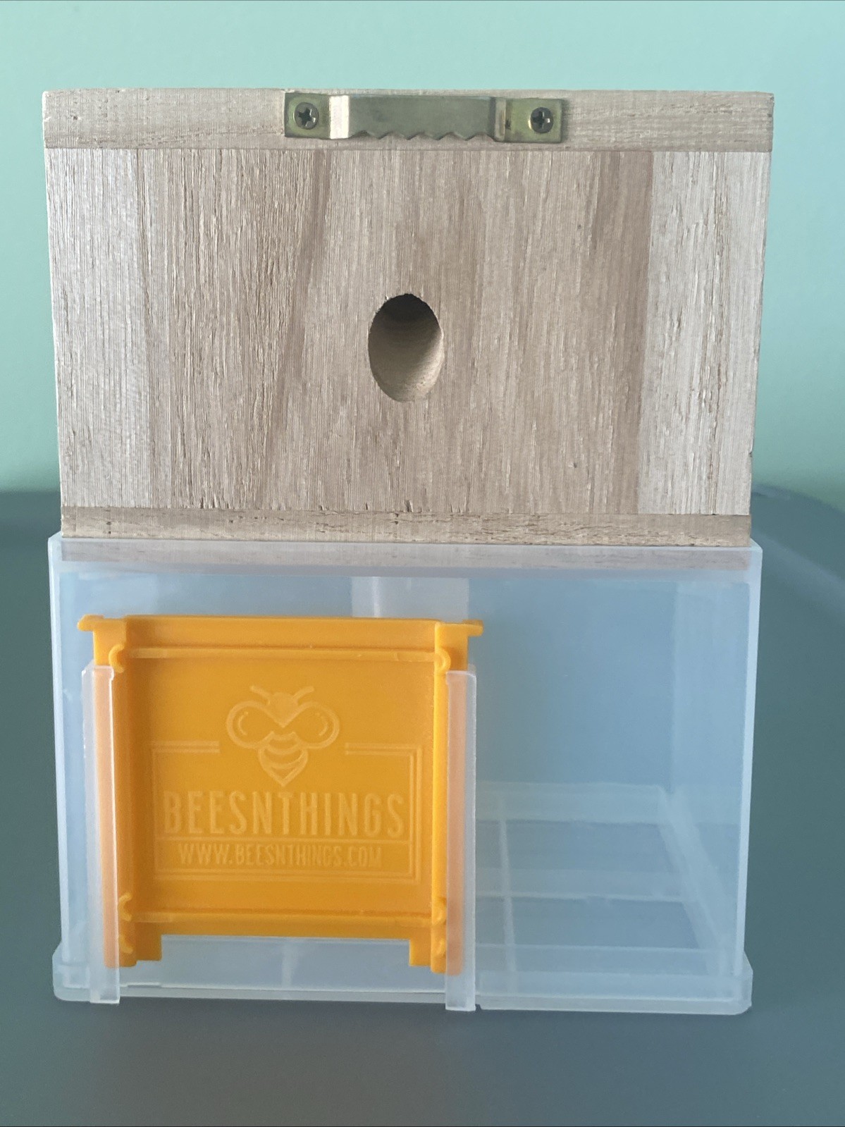 Bees 'N Things Outdoor Hanging Carpenter Bee Trap gallery