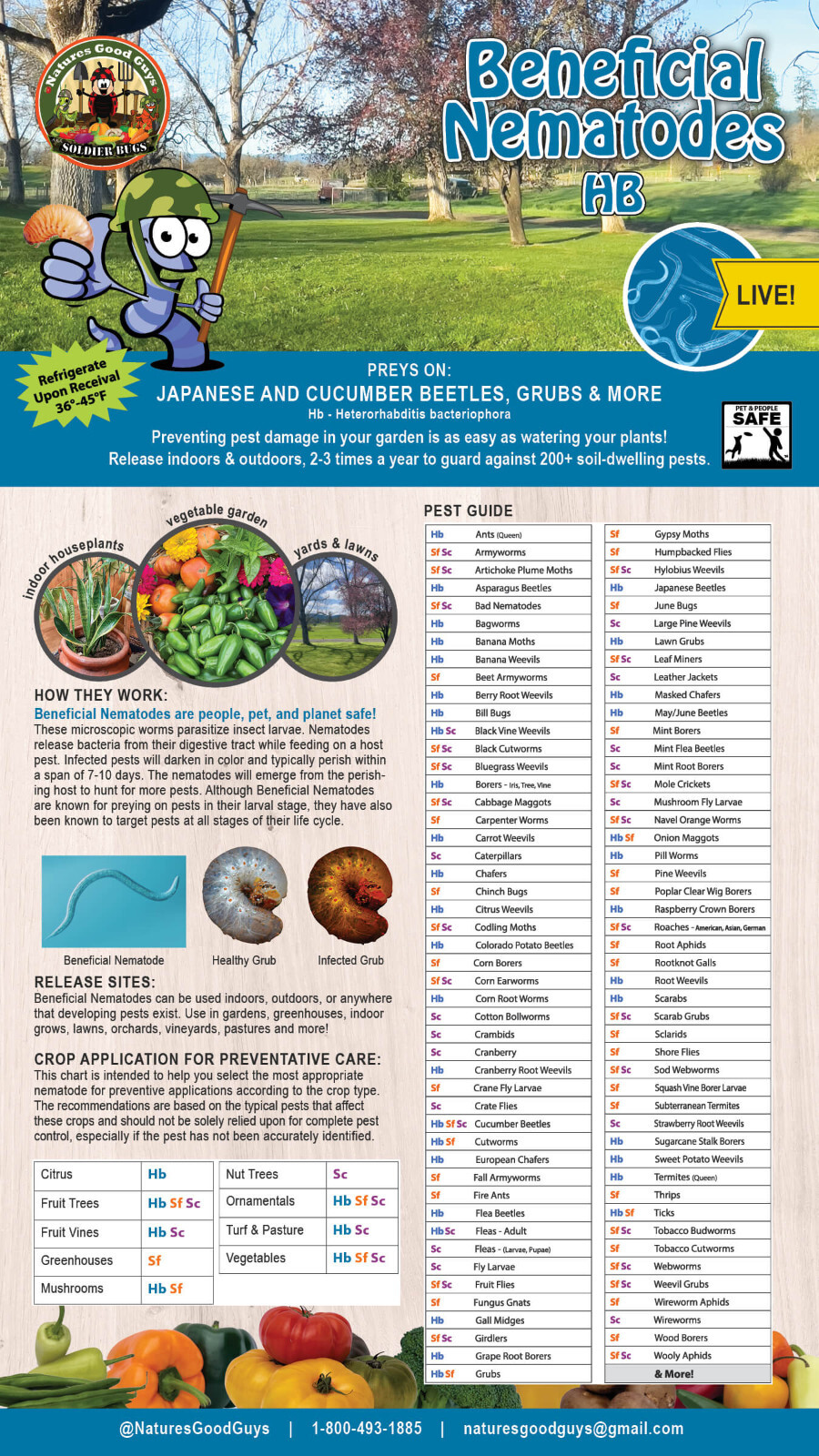 Beneficial Nematodes HB - Targets Japanese and Cucumber Beetles, Grubs & More gallery