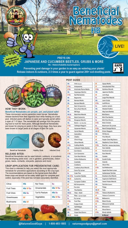 Beneficial Nematodes HB - Targets Japanese and Cucumber Beetles, Grubs & More gallery