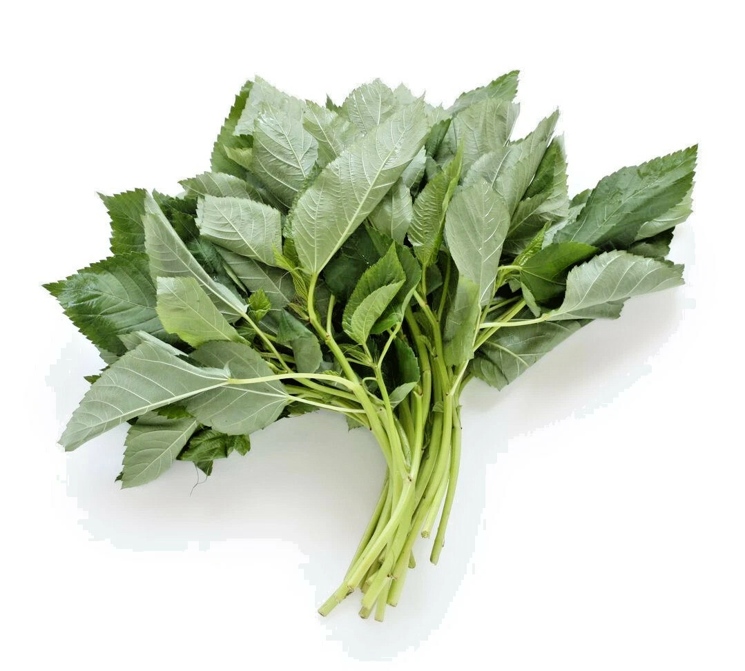 500+ Molokhia - Egyptian Spinach Seeds,Rau Day,Saluyot Heirloom, Non-GMO gallery