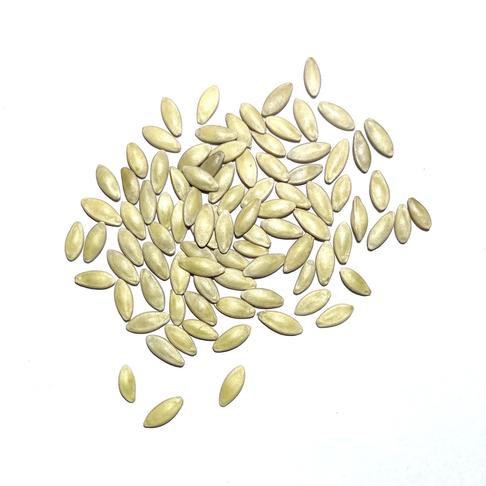 Boston Pickling Cucumber Seeds For Planting (Cucumis sativus) gallery
