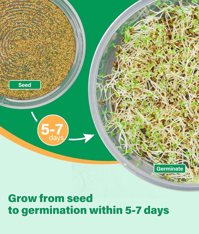 HK Stackable Seed Sprouting Kit, 4-Tier Microgreens Growing Kit with Drain Holes gallery