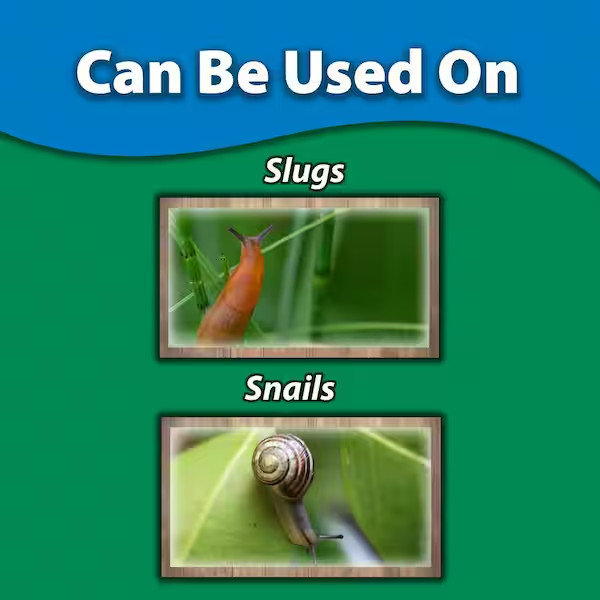 Monterey Sluggo Pet Safe Snail and Slug Killer (1 lb) - NEW Free Shipping gallery
