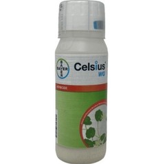 Celsius WG 10oz