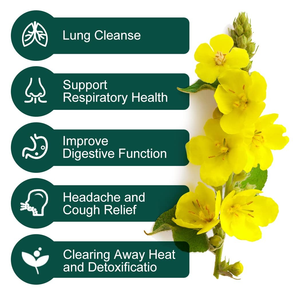 Mullein Leaf Tea Bags - Lungs Cleanse and Respiratory Support, Herbal Teas, C... gallery