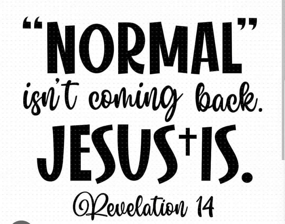 Normal is'nt coming back Jesus is Sticker Decal Laptop Wall Mirror Tumblr Locker gallery