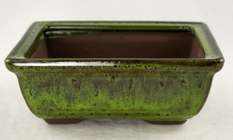 6" Rectangular Moss Green Shohin Bonsai Pot + Soil + Tray + Rock + Mesh Kit gallery