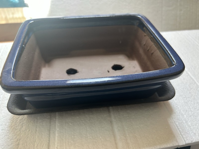 8" Rectangular Navy Blue Bonsai/Succulent Pot + Tray gallery