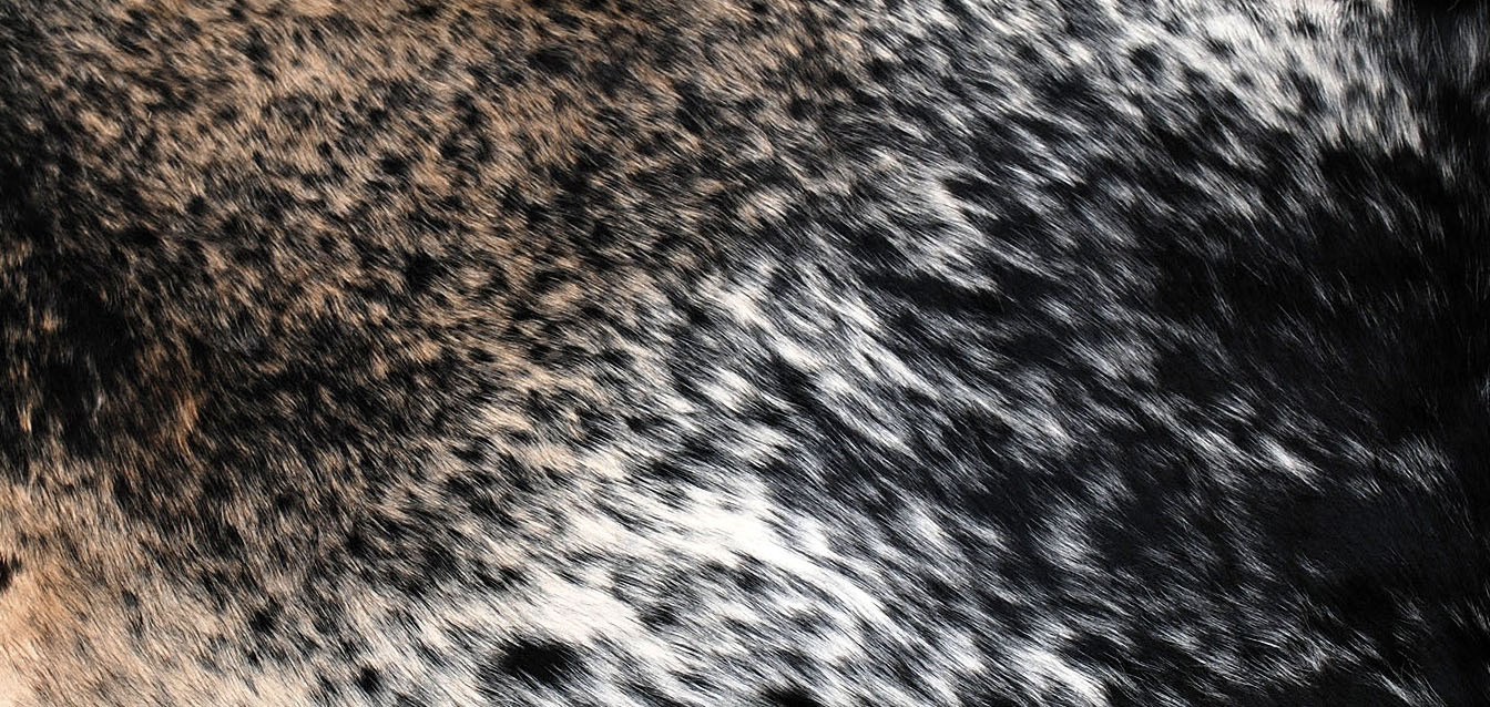 100% NEW COWHIDE LEATHER CUSHION COVER RUG COW HIDE HAIR (24" x 12") SA-8104 gallery