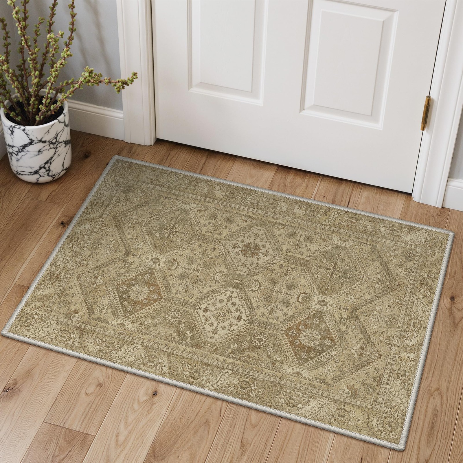 Area Rug 2x3 Doormat, Machine Washable Low Pile Rugs, Small Entryway Mat for ... gallery