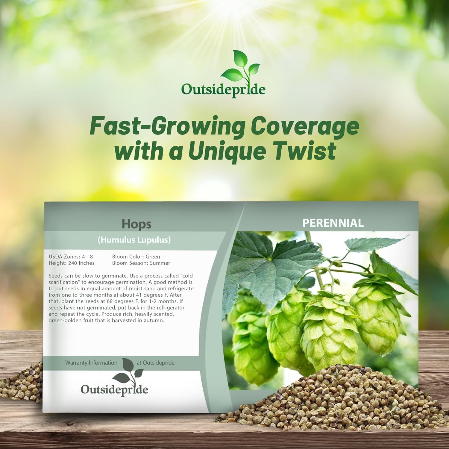 100 Seeds Humullus Lupulus Hops Flower Seeds gallery