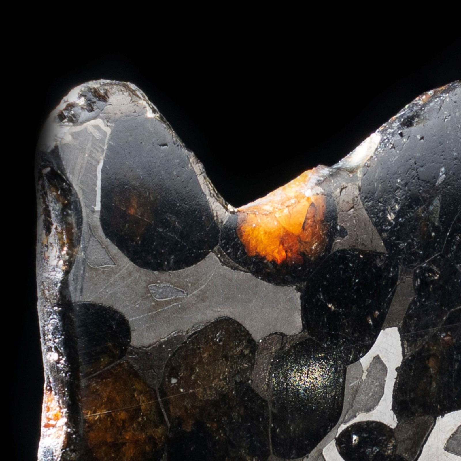 Authentic Brenham Pallasite Meteorite Slice - 24g Iron Nickel Matrix gallery