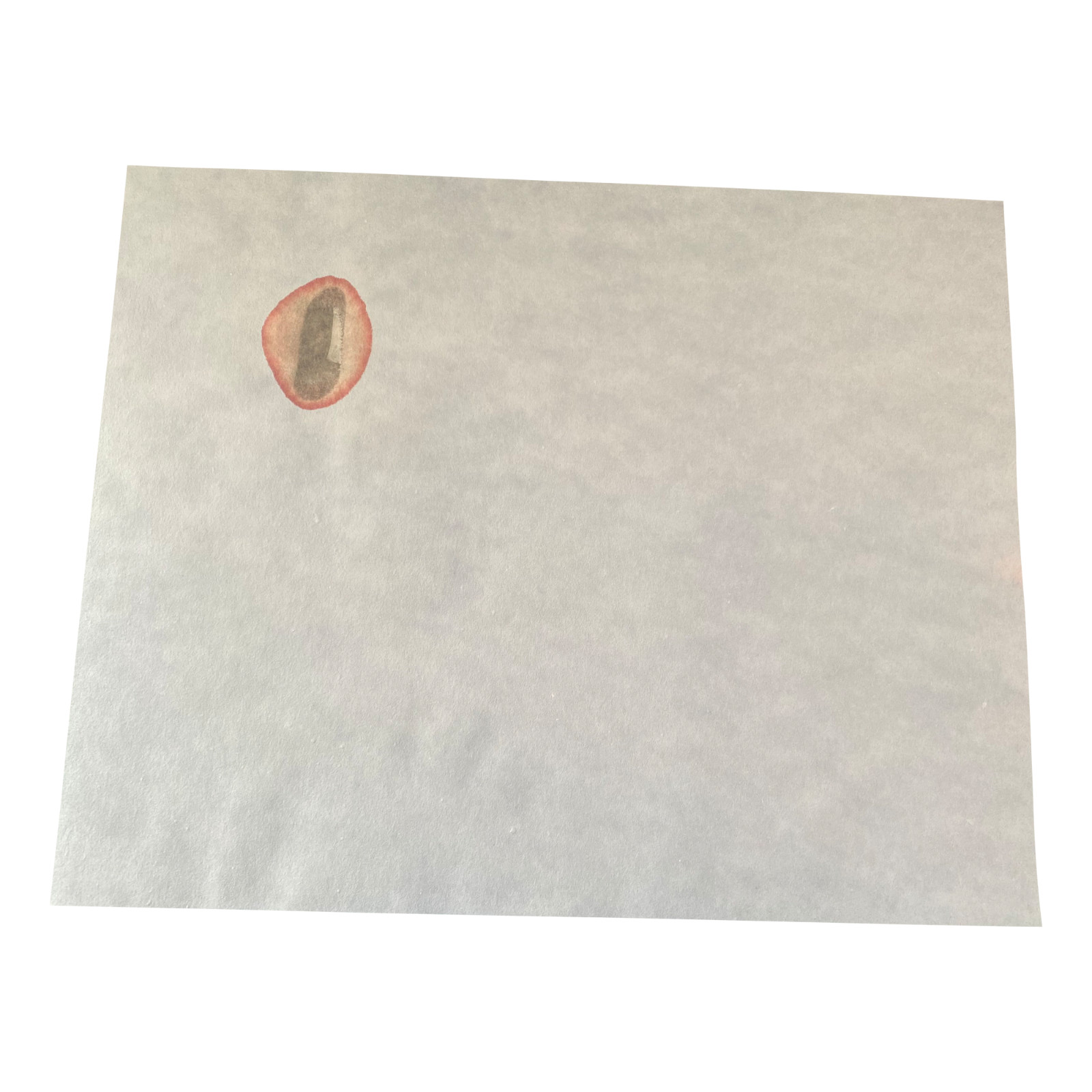 Cobalt Chloride Test Paper 8×10 Inch Sheet [Pack of 24] for Leak Detection gallery