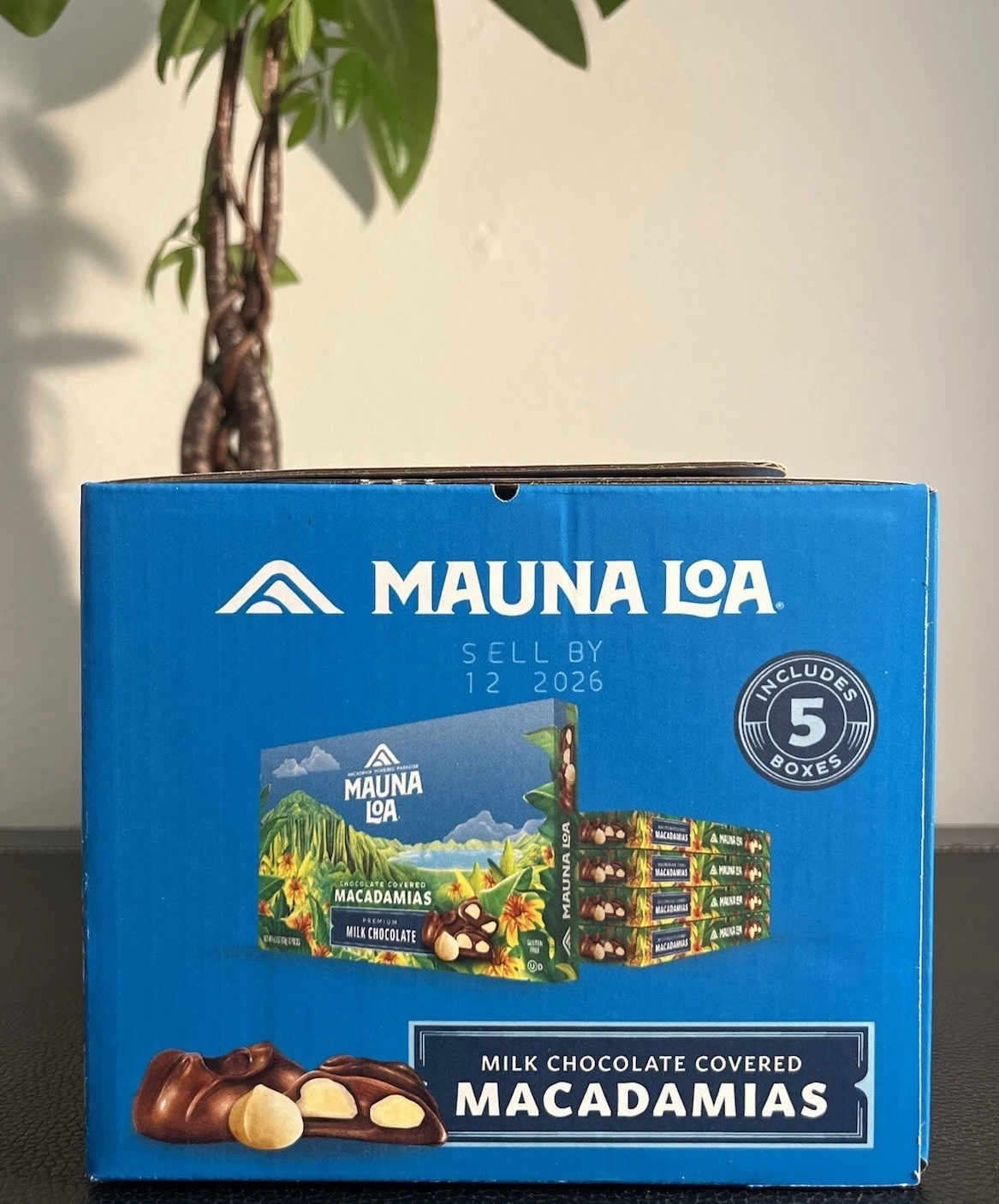 5 Boxes Mauna Loa Milk Chocolate Covered Macadamia Nuts Hawaii Exclusive gallery