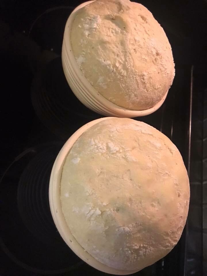 SAN FRANCISCO SOURDOUGH STARTER yeast Free Shipping family maintained 235yr Old gallery