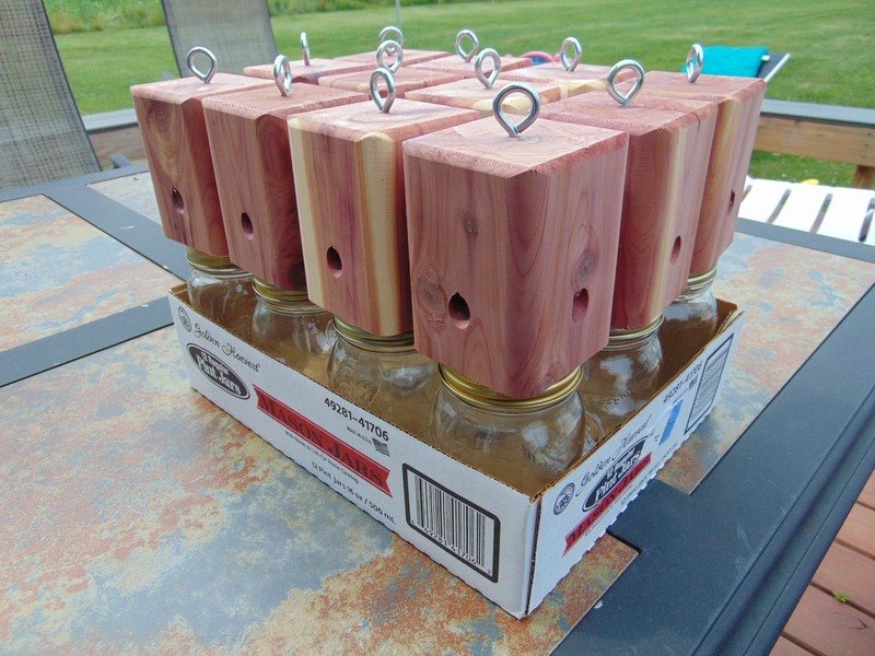 12 Red Cedar carpenter bee-bore cedar traps FREE SHIPPING gallery