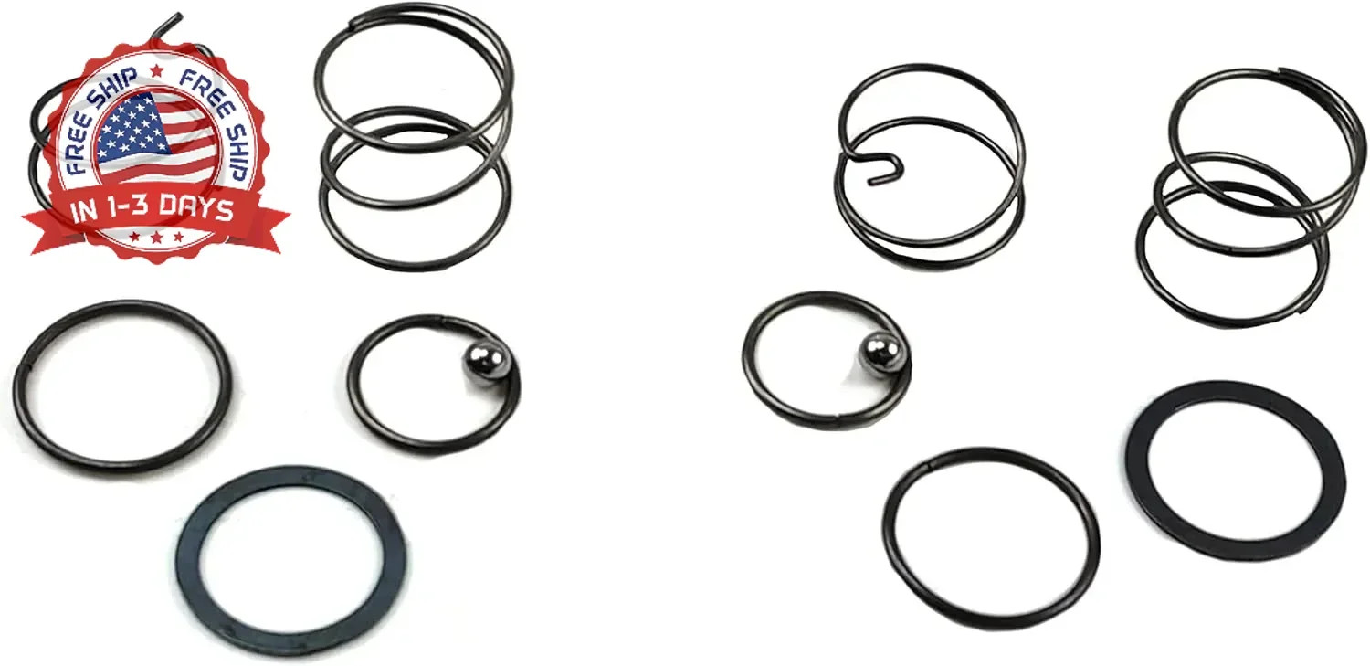 Palart N078434 Spring Kit for 20V Impact Wrench DCF885 DCF886, 2 pcs | Spring an gallery