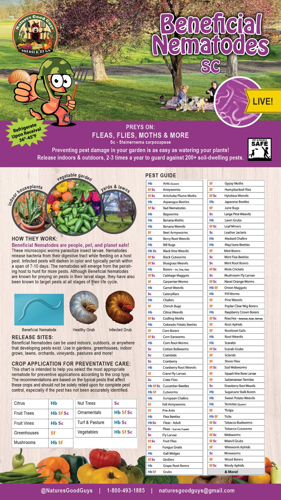 Beneficial Nematodes SC - Targets Fleas, Flies, Moths & More gallery