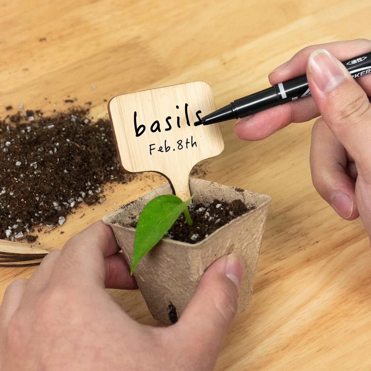 75 Pack Bamboo T-Type Plant Labels with a Marker Pen, Garden Markers Sign Plant gallery